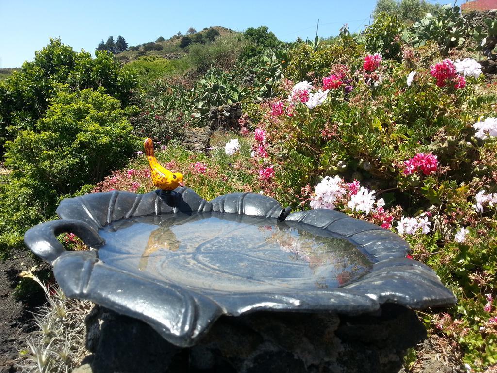 Casa Rural El Valle San Andrés Εξωτερικό φωτογραφία